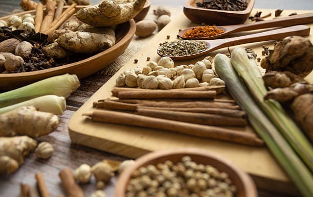 تصویر 1 از خرید و قیمت تخم گشنیز تازه + فروش عمده